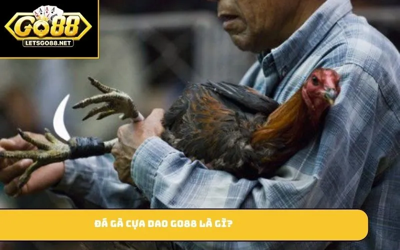 Đá gà cựa dao GO88 là gì?